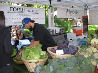 Portland Farmers Market Cabbage