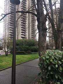 American Plaza Condos Exterior Portland