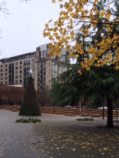 Jamison Park in Portlands Pearl District