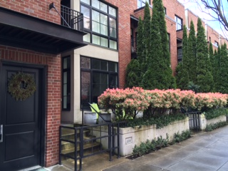 Johnson Street Condos and Lofts in Portland