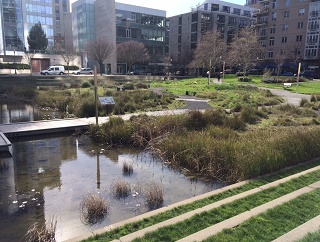 Tanner Springs Park in Portland